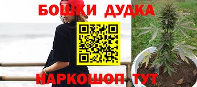 PSILOCYBIN Кинель